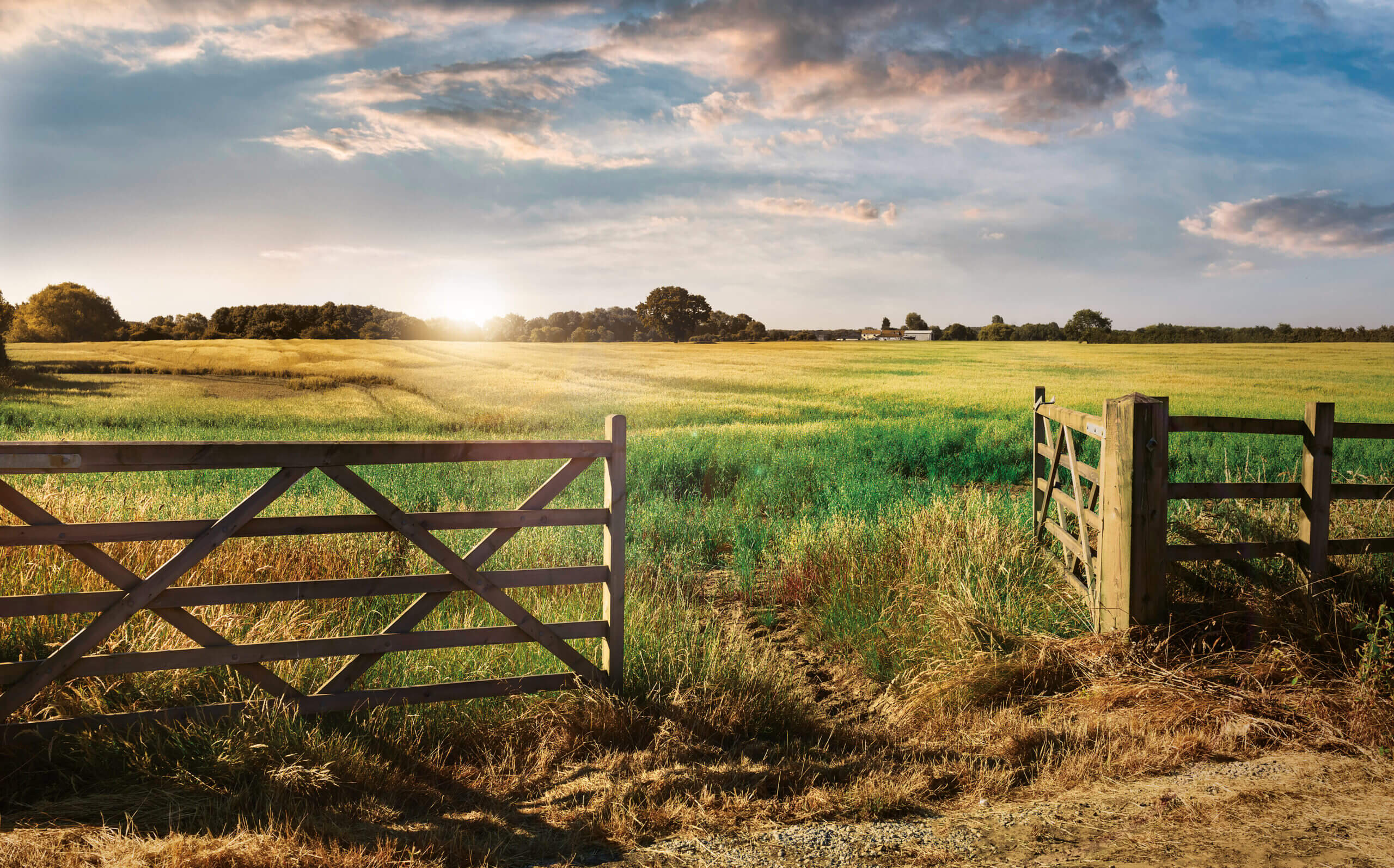 Premium Food Group – Sustainability